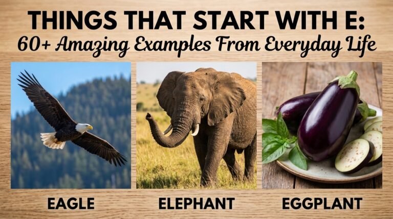 Things That Start With E: 60+ Amazing Examples From Everyday Life